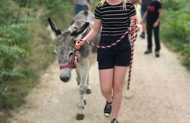 La Locanda Paradiso - Foto 26