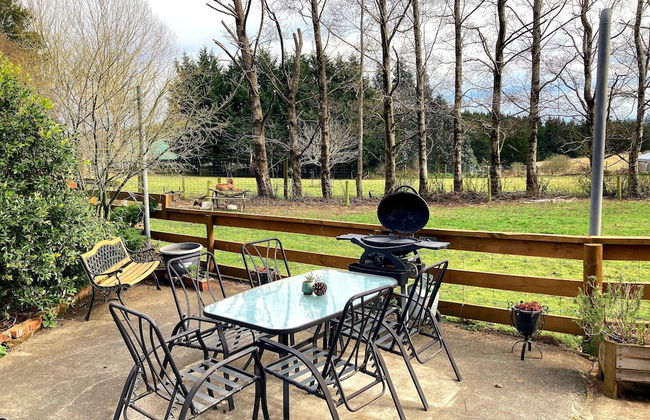 Height of Dunedin - Photo 7