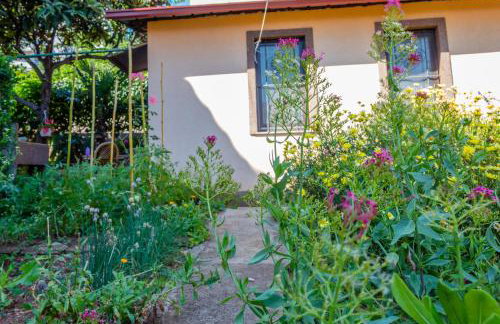 Little garden house - Foto 28