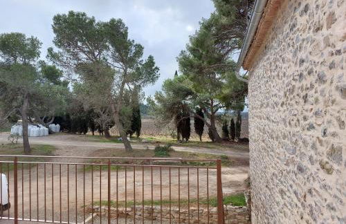 House on winery - Foto 3