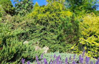 Makowy domek - Foto 38