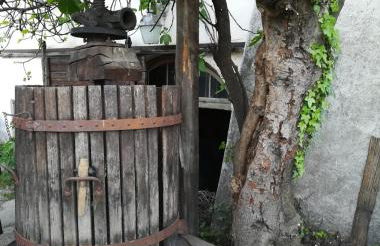 Marlingsuites - Vinea - Wieser Josef - Marling - Foto 64