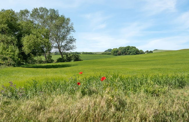 "Bitha" - 400m from the sea - Foto 3