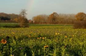 Wormshöft 16 - Foto 36