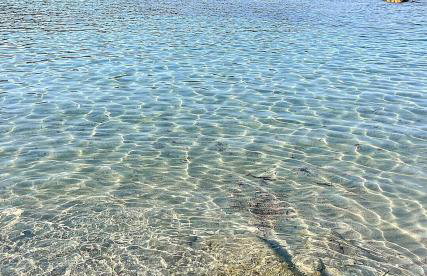 A Marina T2 vue mer plage du Ruppione à 2 min - Foto 8