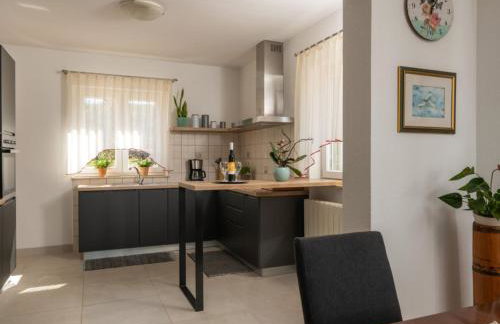 Villa Sabina - Breg Ivanovci - Photo 42