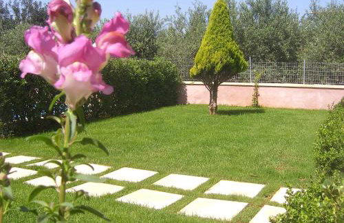 Villa Alimedon - Photo 49