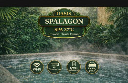 SpaLagon Jacuzzi Privé Chauffé 37 Proche Arena Parc Expo - Foto 1