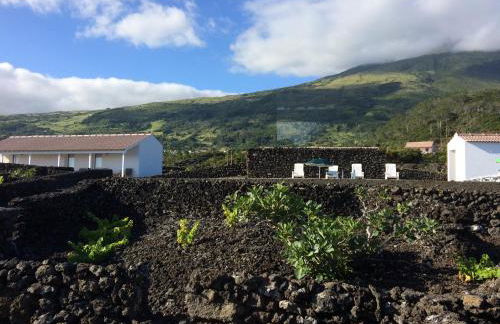 Insula Vinus Apartments - Photo 22