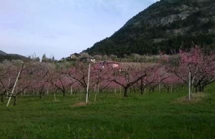 Casa da Aldo - Photo 19