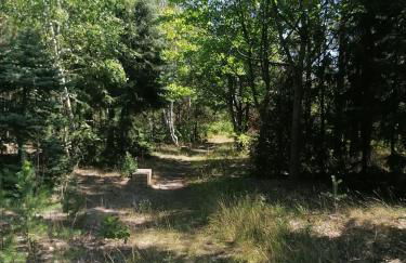 Ferienwohnung GNUBBEL am Wald - Foto 11