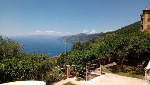 La casa di sotto by PortofinoVacanze - Foto 3