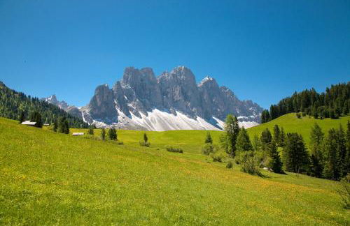 Mühlerhof - Foto 24