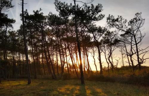 Albertine appt 112 - Foto 39