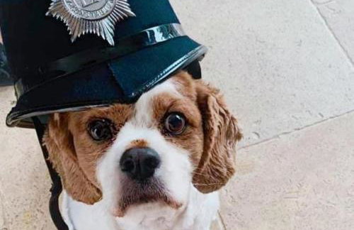 2 Bed House with Hot Tub Great Ayton - TOP House - Foto 11