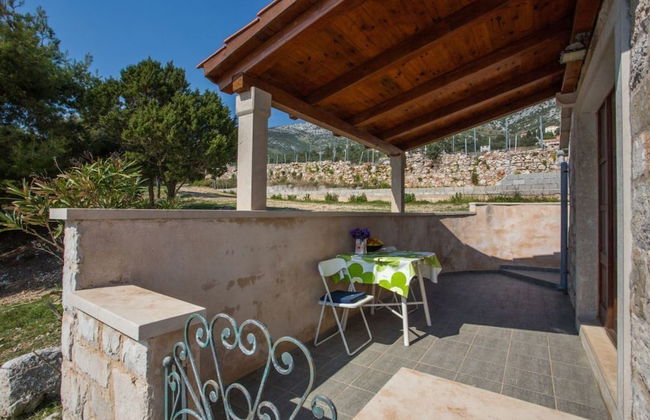 Studio Zavala - Foto 21