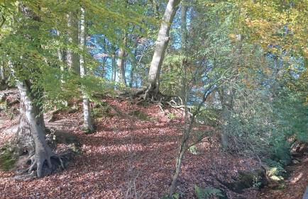 Mobilheim am See - Foto 11