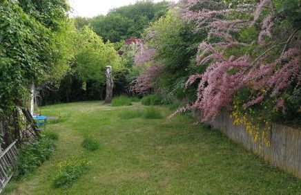 Lichtblick - Foto 22