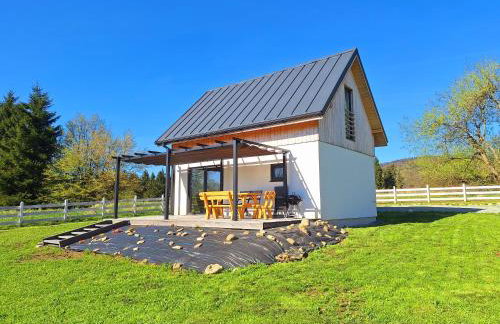 SierPlejs Hill - domki przy szlaku w Górach Sowich - Foto 28