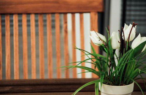 Apartamento da Lapa - Foto 29