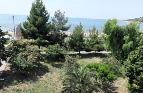 Soula's Sunshine Green Apartment - Photo 5