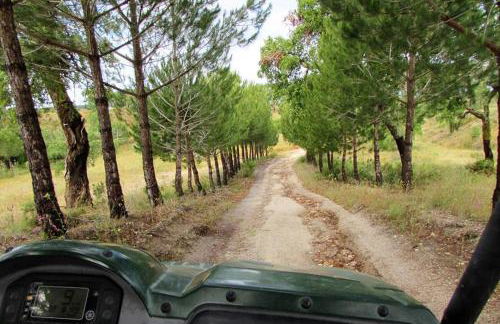 Monte da Tojeirinha - Foto 47