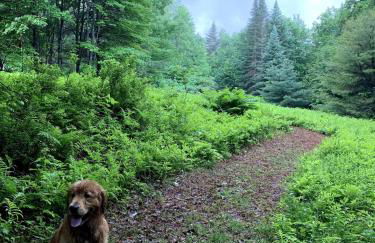 The Disco Den on Toad Road - Photo 16