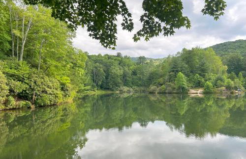 Beech Mountain Walk to Slopes Sleeps 9 Pet Friendly - Foto 61