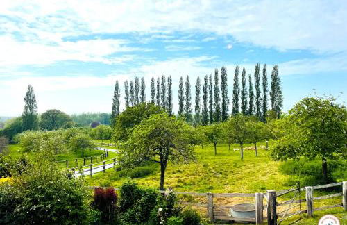 La Hulotte - Domaine d'APREVAL - Campagne - Photo 6