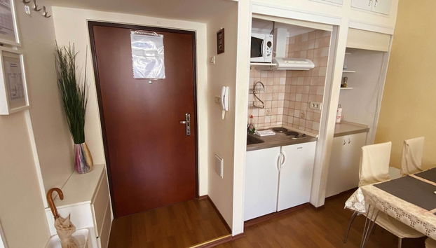 Apartment Tomasovic Old Town - One-bedroom Apartment - Foto 4, Cocina privada