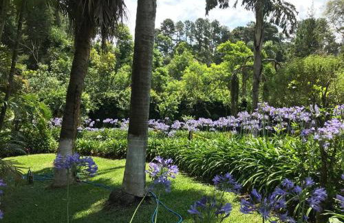 Lindo e aconchegante chalé com piscina, lareira e churrasqueira - Foto 15