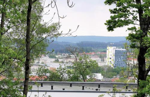 BohnApartments - Stadtblick Zechenhaus - Balkon - Parkplatz - WLAN - sehr ruhig - barrierearm - Foto 38
