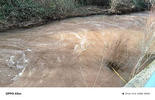 Los Gavilanes BOGARRA - Foto 2