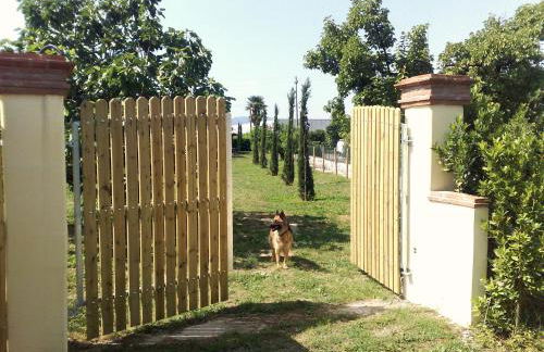 Villa In Lucca - Foto 17