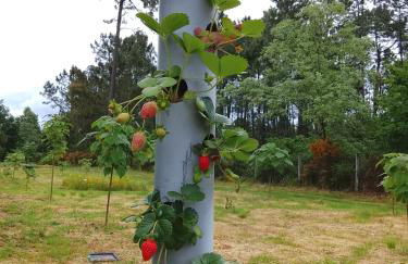 Alojamento 444 - Foto 25