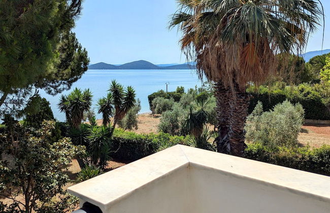 Ekatis Seacoast Nest - Foto 16