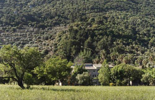 Sa Sinia - Finca en el corazón de la Tramuntana - Foto 50
