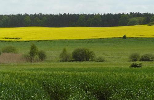 Hollerhof - Urwüchsiges Paradies - Kreativurlaub - Foto 40