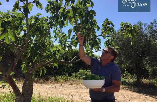 Azienda Agrituristica Baglio Carta - Foto 71