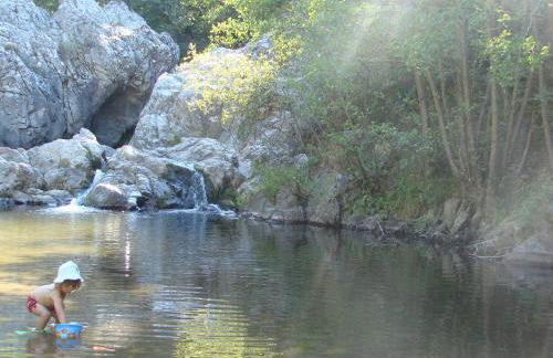 RIBES - Chalet Gîte au coeur de la nature - Foto 28