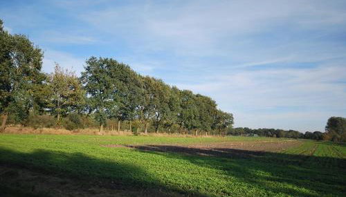 Ferienwohnung Am Moor, 35629 - Foto 4