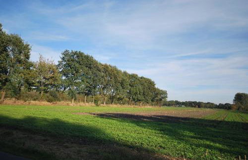 Ferienwohnung Am Moor, 35629 - Foto 4
