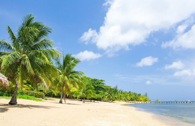 Lawson Rock - Angelfish 100 - Foto 15