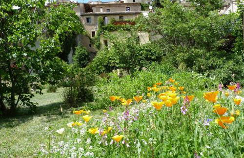 Gite nature les ANOURES en PROVENCE - Foto 12