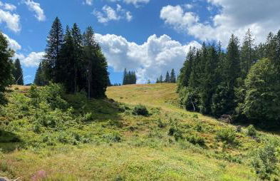 Ferienwohnung Feldberg Schwarzwald - Foto 36