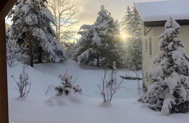 Chalet Nicouski - Photo 17