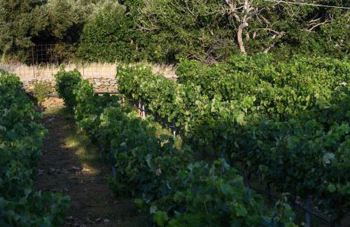 K vineyard house - Foto 22