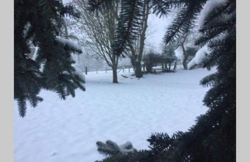 Historic 17th century farmhouse in Wales - Foto 26