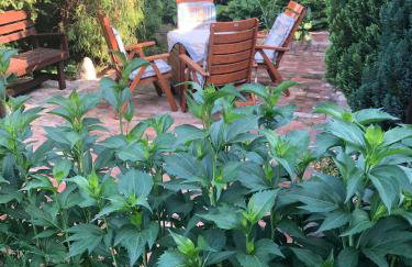 Domek przy lesie Mazury - noclegi całoroczne - Foto 30