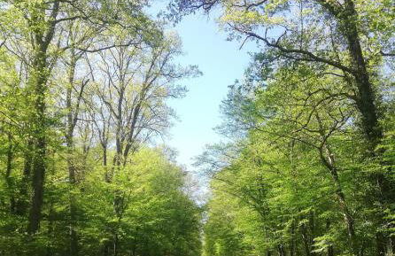 Chalets Moulière Evasion - Foto 35